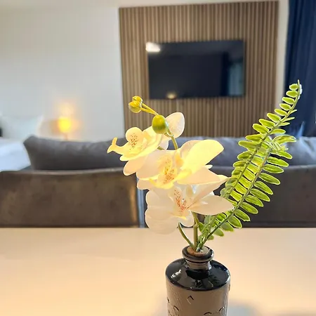 Ferienwohnung Wesseling Zewnętrze zdjęcie